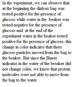 Unit 3 Experiment